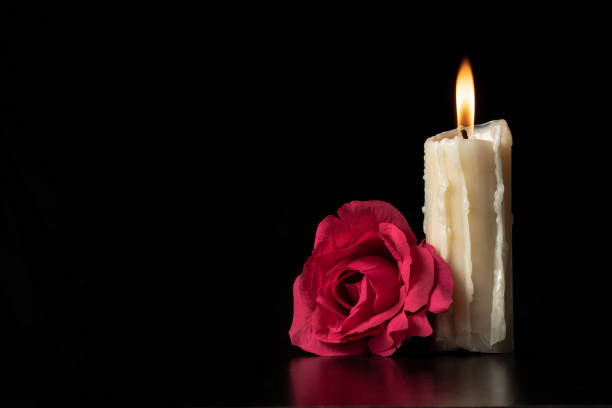 Easton Johnson Obituary, Paw Paw, MI: Young Baseball Player Remembered by Family and Community